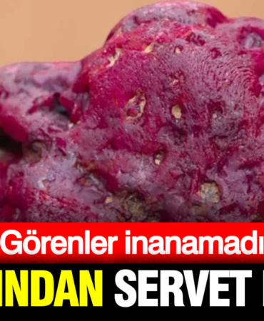yeraltindan-servet-fiskirdi-tam-tamina-11-bin-karat-2vrGjk4H.jpg